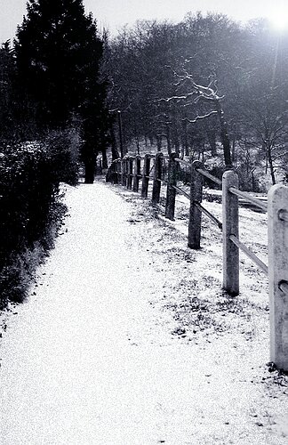 theydon 4.jpg